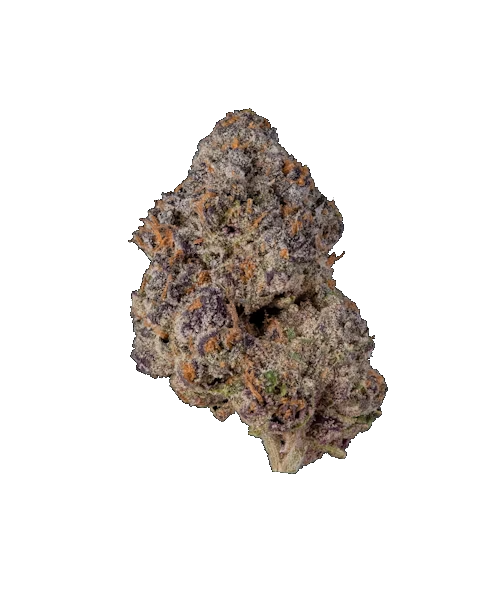 Big Chief | THCa Flower - Triple Scoops : INDICA/HYBRID (41.2%)