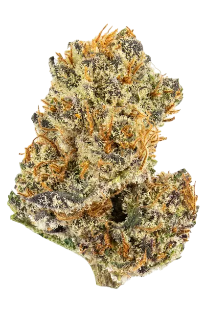 Big Chief | THCa Flower - Secret Menu : HYBRID (41.25%)